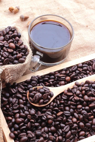 Pražená kávová zrna s horkou kávou — Stock fotografie