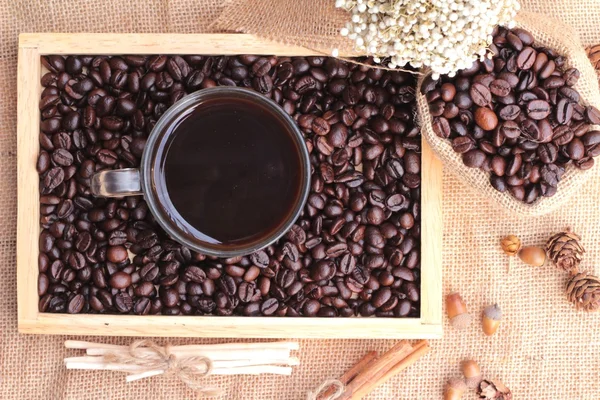Grains de café torréfiés avec café chaud — Photo