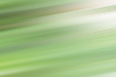 bulanık ışık renkli arka plan ve güzellik doku rotaları