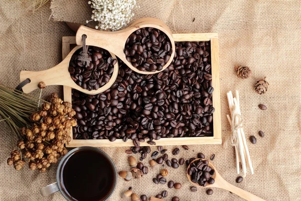 Chicchi di caffè torrefatto con caffè caldo — Foto Stock