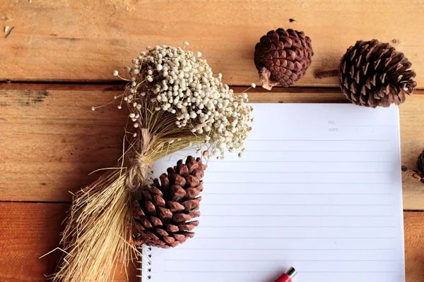 Libro diario con conos de pino sobre fondo de madera . —  Fotos de Stock