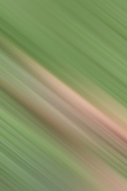 bulanık ışık renkli arka plan ve güzellik doku rotaları