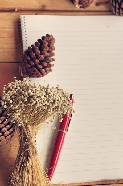 Diary book with pine cones on wood background. — Stock Photo, Image