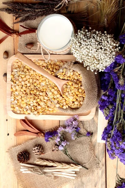 Soy milk with soya beans — Stock Photo, Image