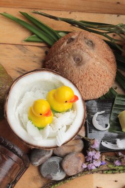 Yeşil kek ile Hindistan cevizi dolgulu alır.