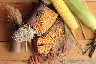 Sarı kuru Mısır buğday ve Mısır taze.