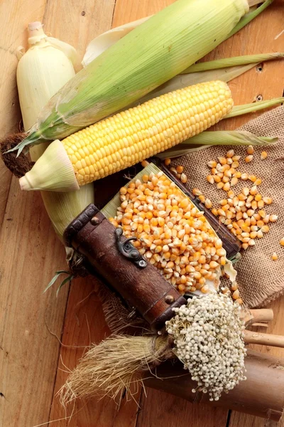 Gelbes, trockenes Maiskorn und Mais frisch. — Stockfoto