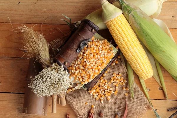 Желтый сухой зерно кукурузы . — стоковое фото