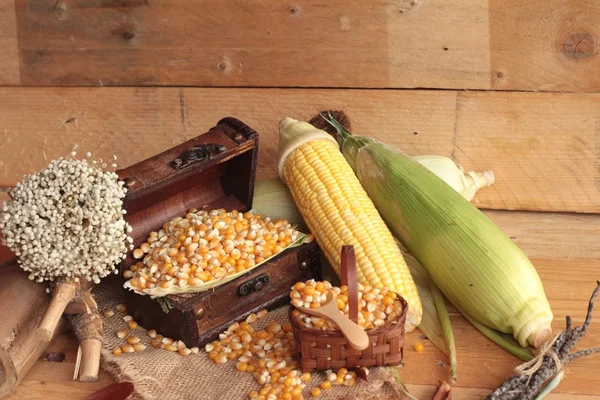 Grano de maíz seco amarillo y maíz fresco . —  Fotos de Stock