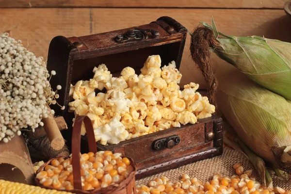 stock image Popcorn and yellow dry corn grain with fresh corn.