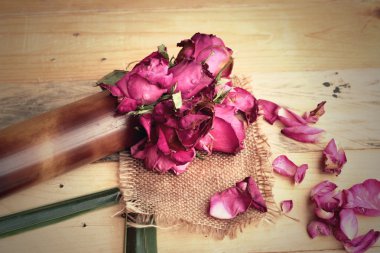 Pembe Gül ve gül yaprakları serpilir düşmüş.