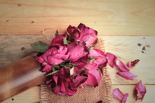 Rose rosa e petali di rosa sono stati spruzzati caduti . — Foto Stock