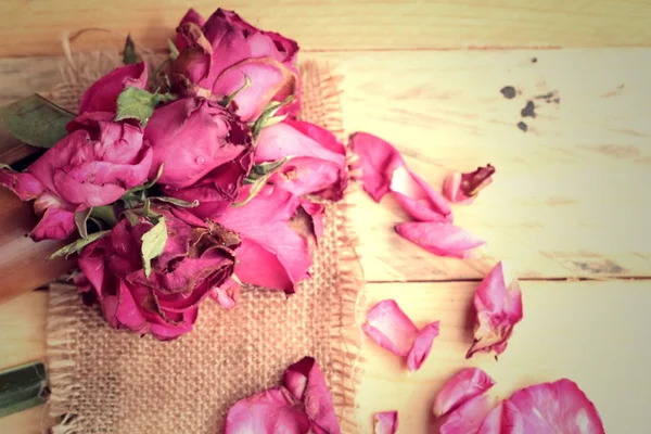 Růžové růže a růží byly rozesety padlých. — Stock fotografie