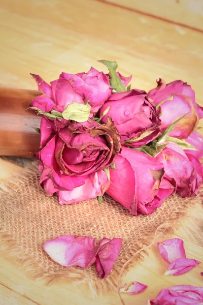 Rosas rosadas y pétalos de rosa fueron rociados caído . —  Fotos de Stock