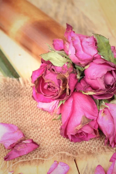 Rosas rosadas y pétalos de rosa fueron rociados caído . —  Fotos de Stock