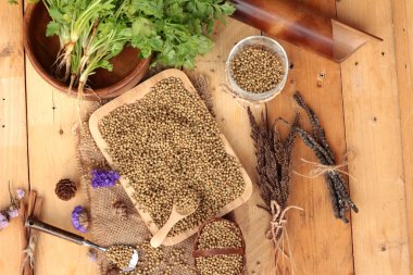 Kuru kişniş ve taze kişniş yeşil.