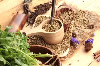 Kuru kişniş tohumu