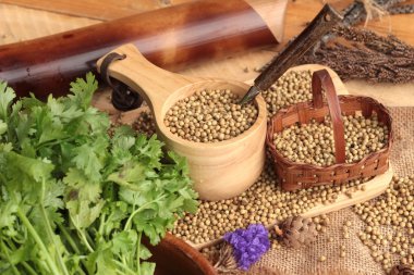 Kuru kişniş tohumu