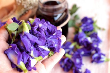 Su ve taze anchan çiçekler mor çiçekli Anchan.