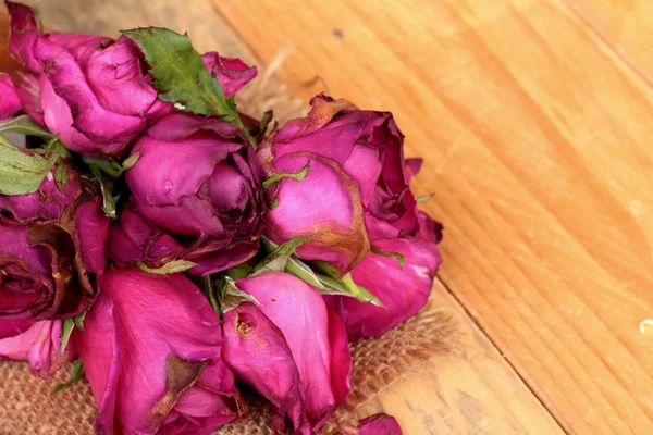 Rosas cor-de-rosa e pétalas de rosa foram polvilhadas caídas . — Fotografia de Stock