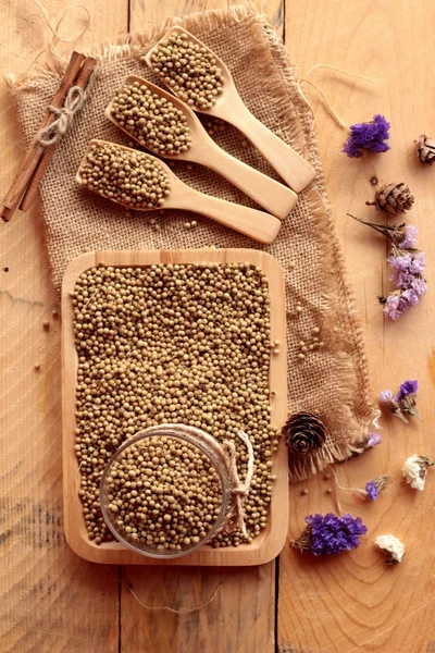 Dry coriander seeds — Stock Photo, Image