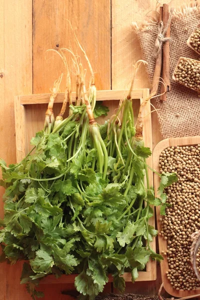 Dry coriander seeds and fresh coriander green.