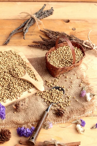 Dry coriander seeds — Stock Photo, Image