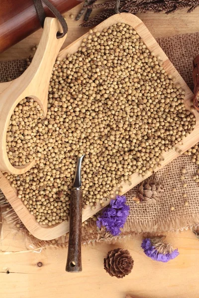 乾燥コリアンダーの種子 — ストック写真
