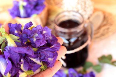 Su ve taze anchan çiçekler mor çiçekli Anchan.