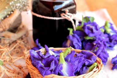 Su ve taze anchan çiçekler mor çiçekli Anchan.