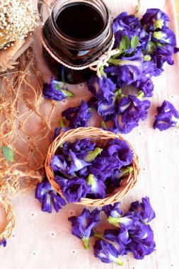 Su ve taze anchan çiçekler mor çiçekli Anchan.