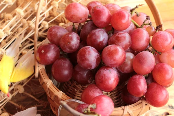 Mazzo di uva frutta succosa fresca deliziosa . — Foto Stock