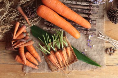 Ahşap arka plan üzerinde taze havuç.