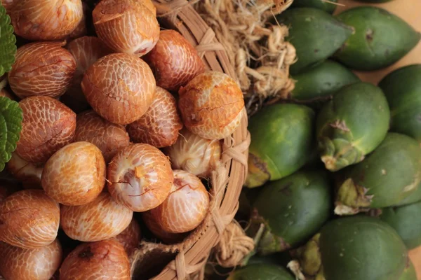 Betel palma — Fotografia de Stock