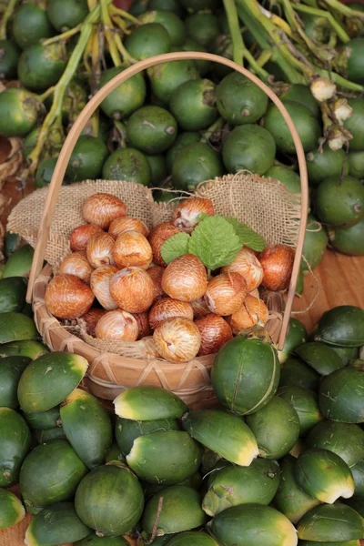 Betel palma — Fotografia de Stock