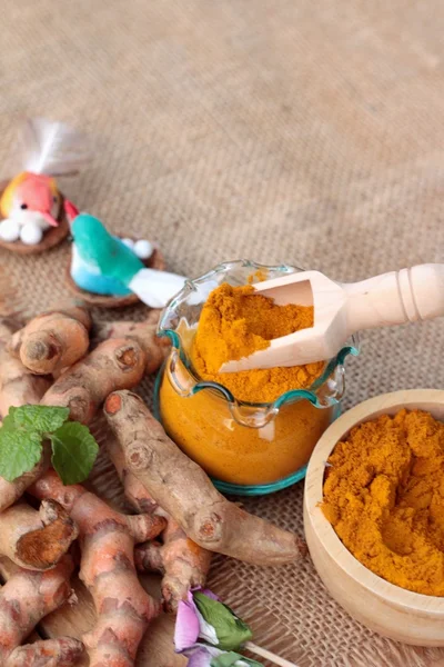 Turmeric herb yellow powder and fresh turmeric. — Stock Photo, Image