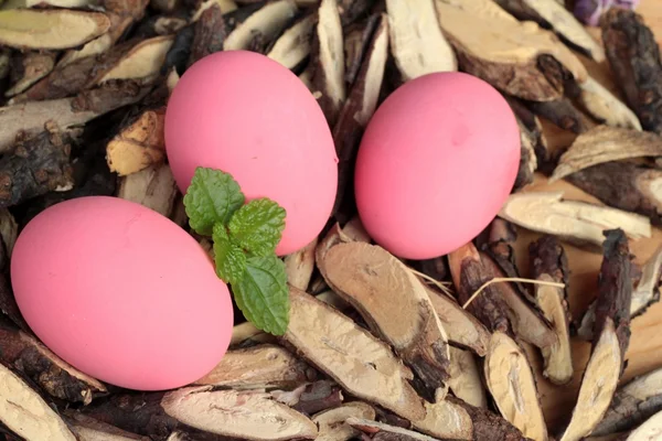 Coloré mariné d'oeuf conservé sur fond de bois . — Photo