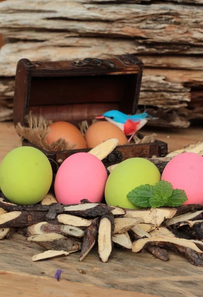 Colorido en vinagre de huevo conservado sobre fondo de madera . —  Fotos de Stock