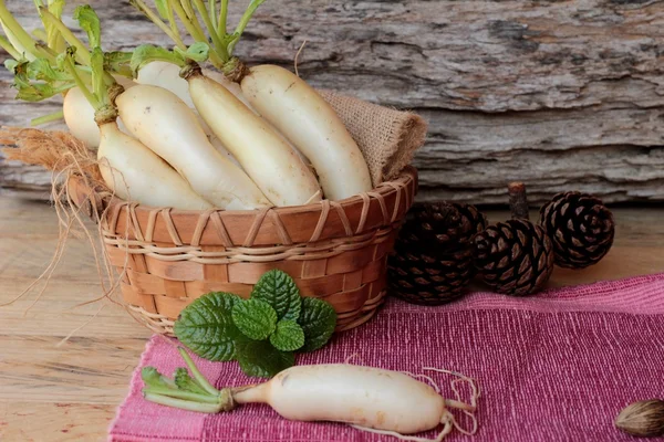 Rábano fresco y rábano en escabeche para cocinar . — Foto de Stock