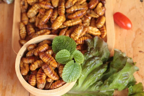 Silkworm pupae on wood background — Stock Photo, Image