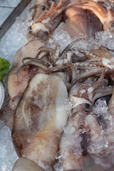 Fresh squid on the ice for cooking. — Stock Photo, Image