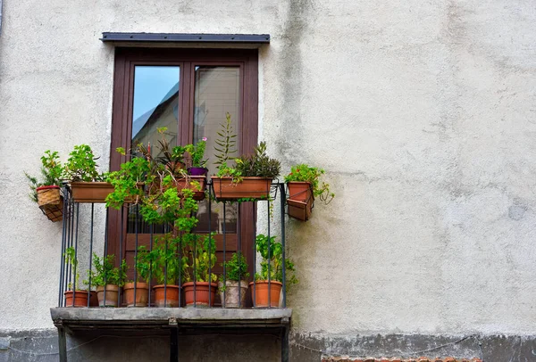 Pittoreska Fönster Naso Sicilien Italien — Stockfoto