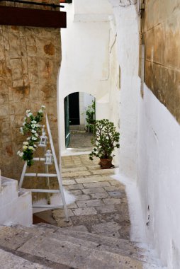 Otani Puglia İtalya 'ya bir göz atalım.