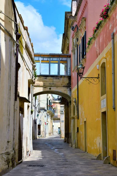 Karakteristiska Historiska Byggnader Nardo Salento Italy — Stockfoto