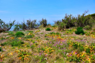 Tavşan adası (isola dei conigli o isola grande) ya da büyük ada porto sezaryeni Salento İtalya