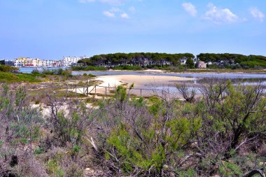 Tavşan adası (isola dei conigli o isola grande) ya da büyük ada porto sezaryeni Salento İtalya