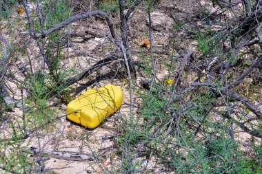 Plastik ve doğadaki çeşitli atıklar