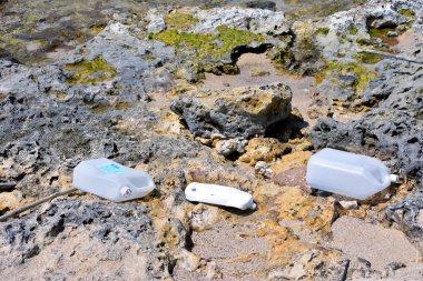 Plastik ve doğadaki çeşitli atıklar