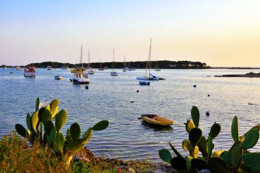 Tavşan adası (isola dei conigli o isola grande) ya da büyük ada porto sezaryeni Salento İtalya
