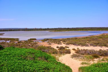Torre Colimena Doğa Koruma Alanı (Salina dei monaci) İtalya